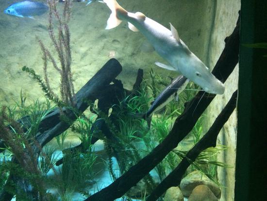 Sao Paulo Aquarium